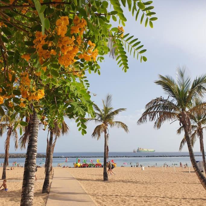 San Andres Beach View Apartment 外观 照片